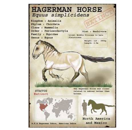 Equus simplicidens