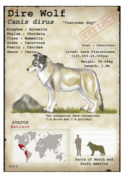 Canis dirus